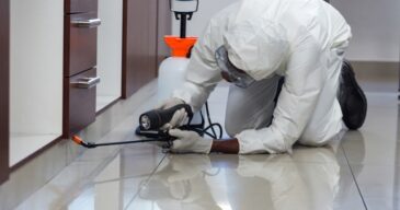 pest control company South Africa