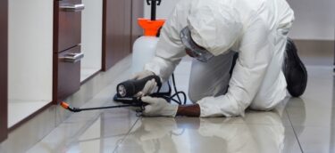 pest control company South Africa